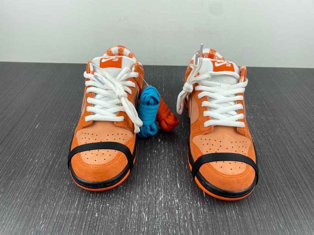 Concepts x Nike SB Dunk Low FD8776-800