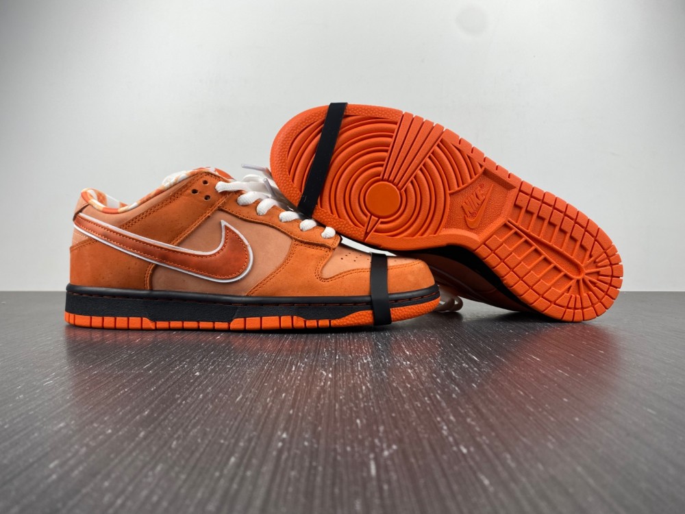 Concepts x Nike SB Dunk Low FD8776-800