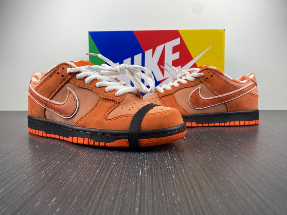 Concepts x Nike SB Dunk Low FD8776-800